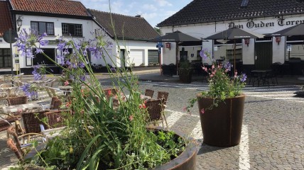 Lissewege, één van de 10 mooiste dorpen van Vlaanderen!