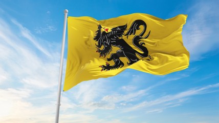 De Vlaamse Beweging van 1830 tot vandaag. Over flamingantisme en Vlaamse natievorming