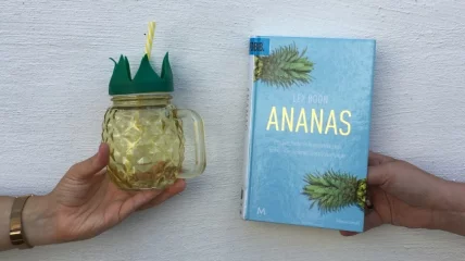 Boekverslag: ‘Ananas’ van Lex Boon
